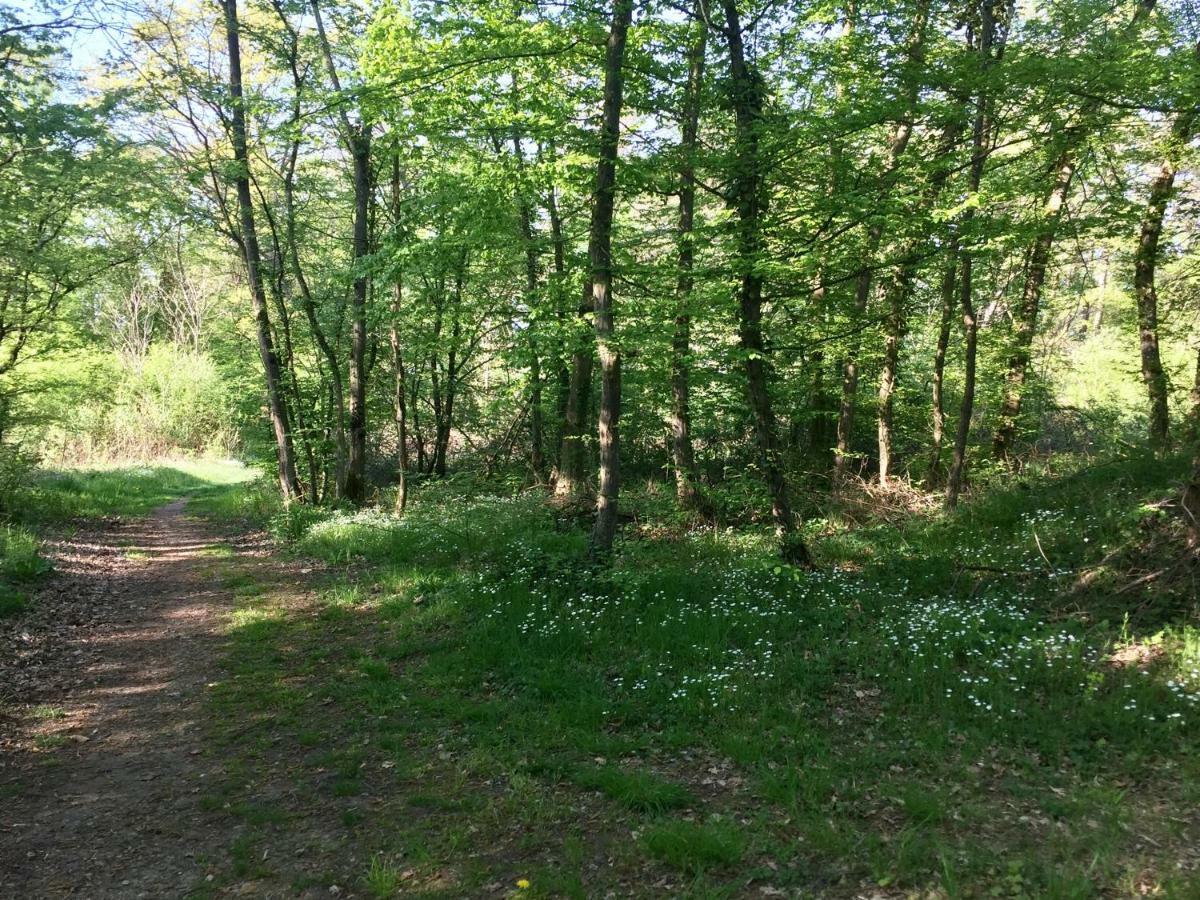 Camping du canal Kembs Bagian luar foto